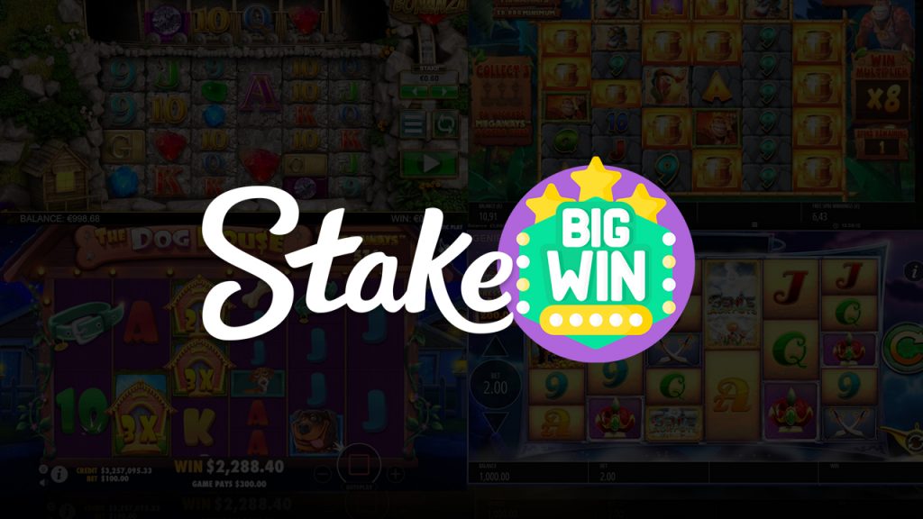Stake-biggest-wins-france