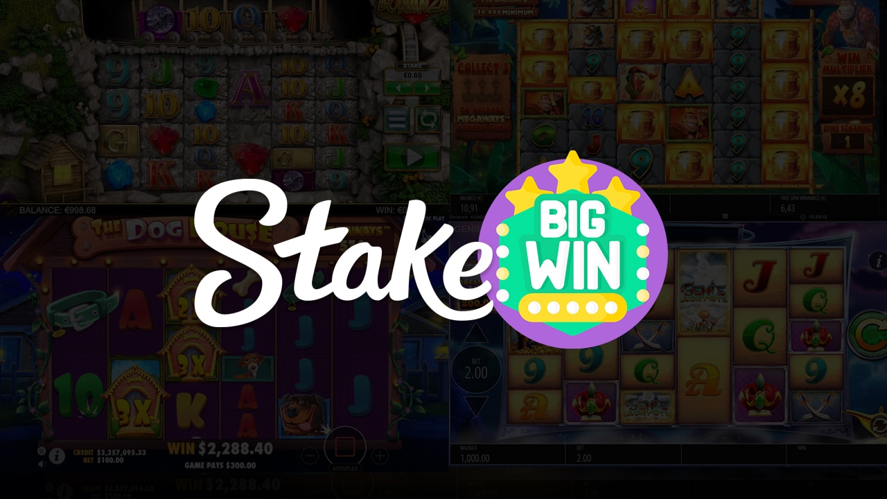 Stake-biggest-wins-france