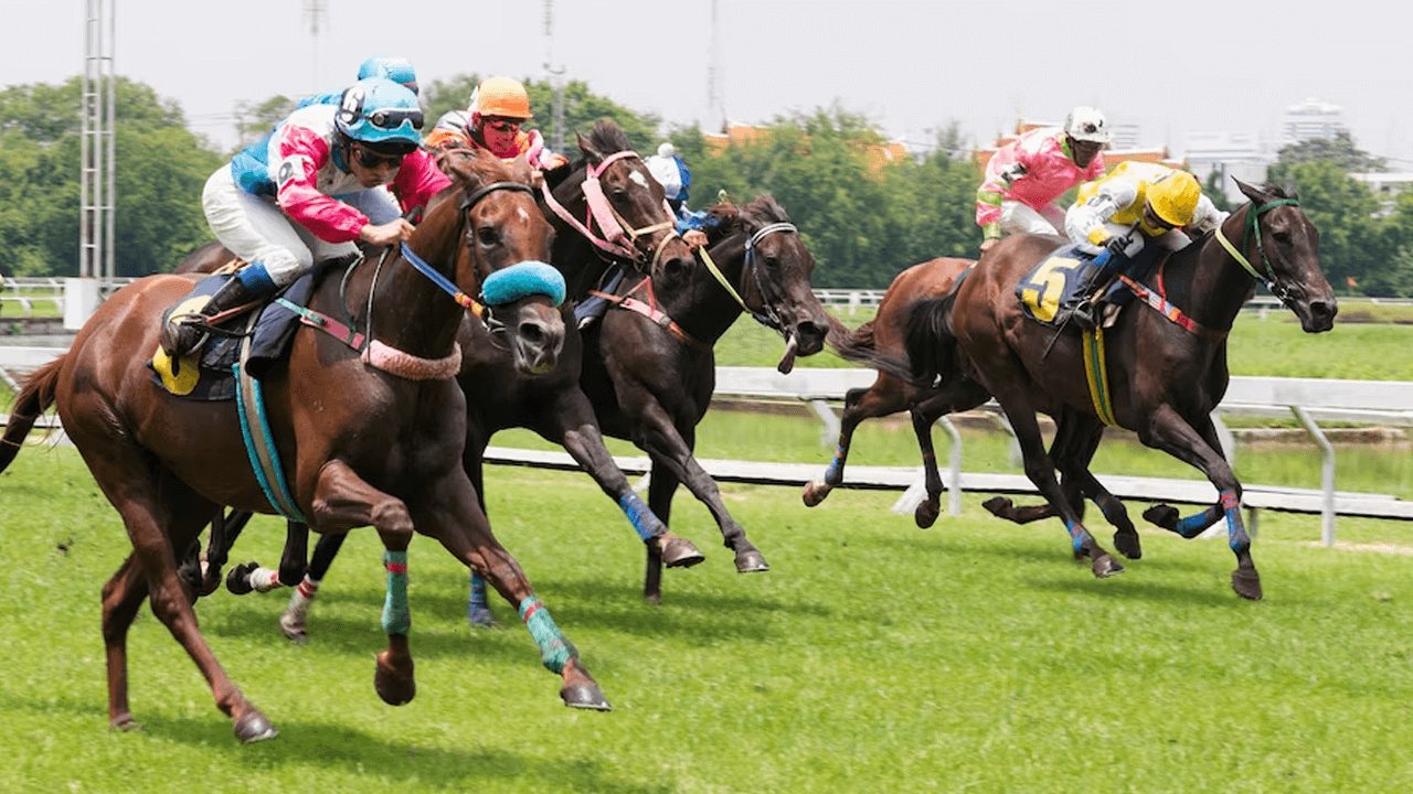 Paris sportifs hippiques